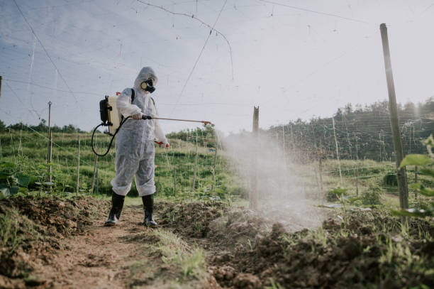 Professional Pest Control in Cherry Valley, CA