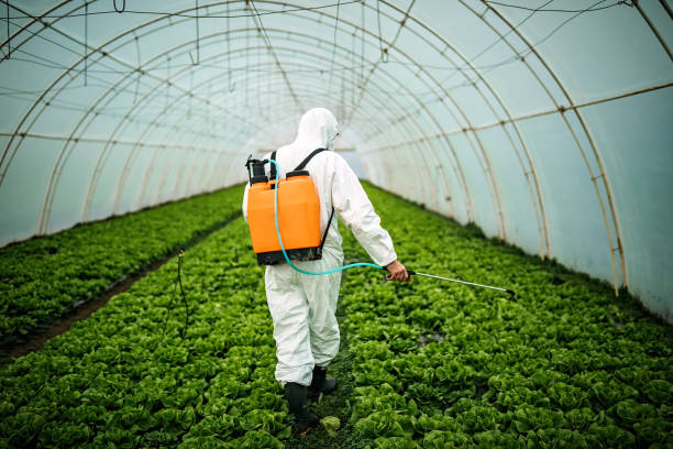 Best Bed Bug Extermination  in Cherry Valley, CA