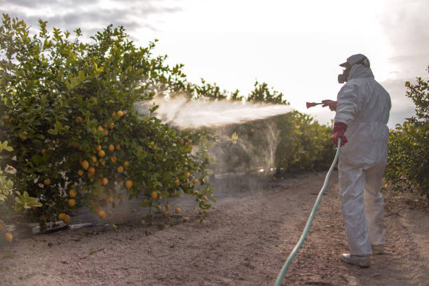 Best Rodent Control Near Me  in Cherry Valley, CA