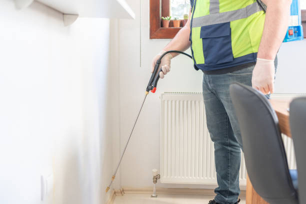 Best Affordable Pest Control Services  in Cherry Valley, CA