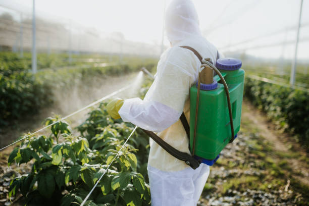  Cherry Valley, CA Pest Control Pros
